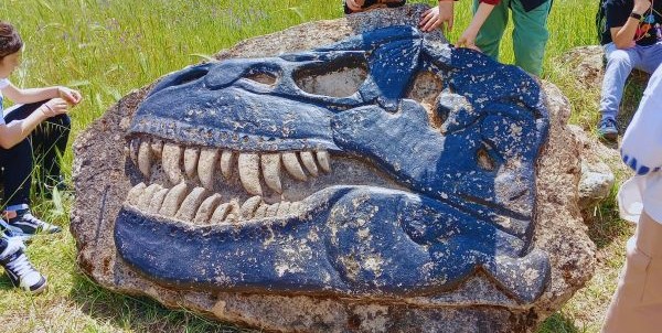 DINOSARDO - Milis (OR)
